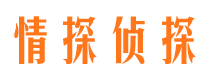 兰考侦探公司